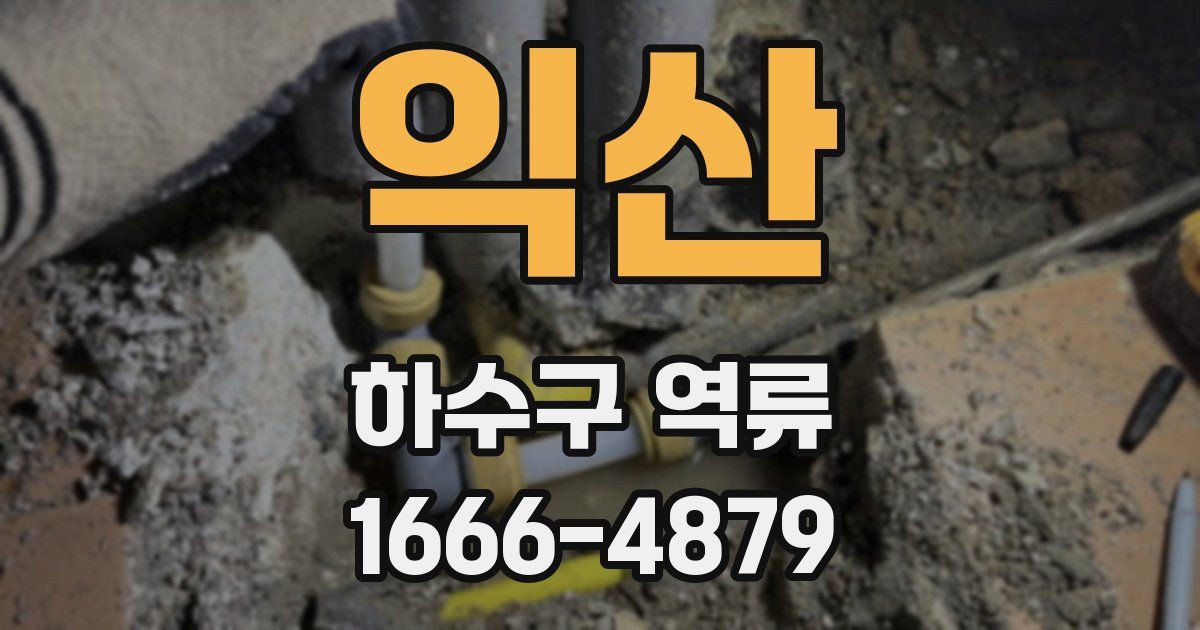 익산 하수구 역류