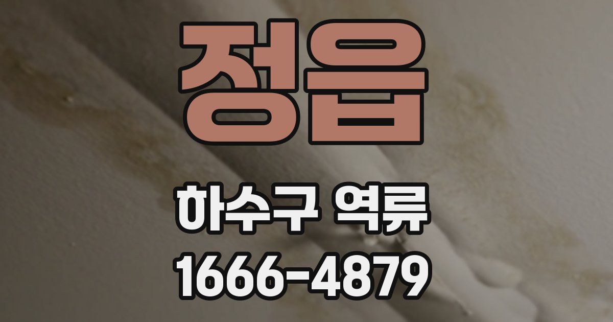 정읍 하수구 역류