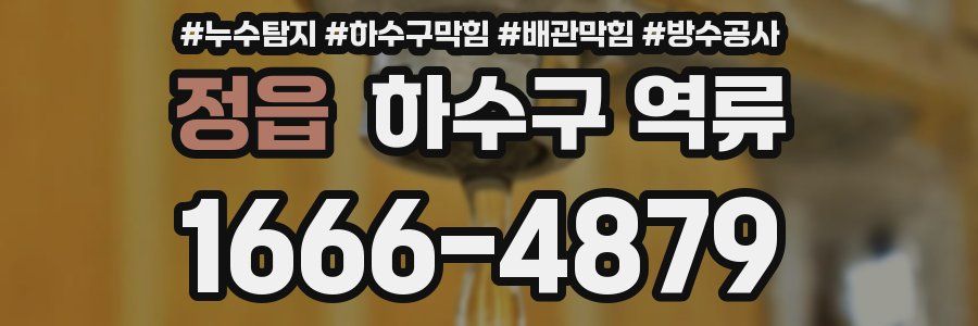 정읍 하수구 역류
