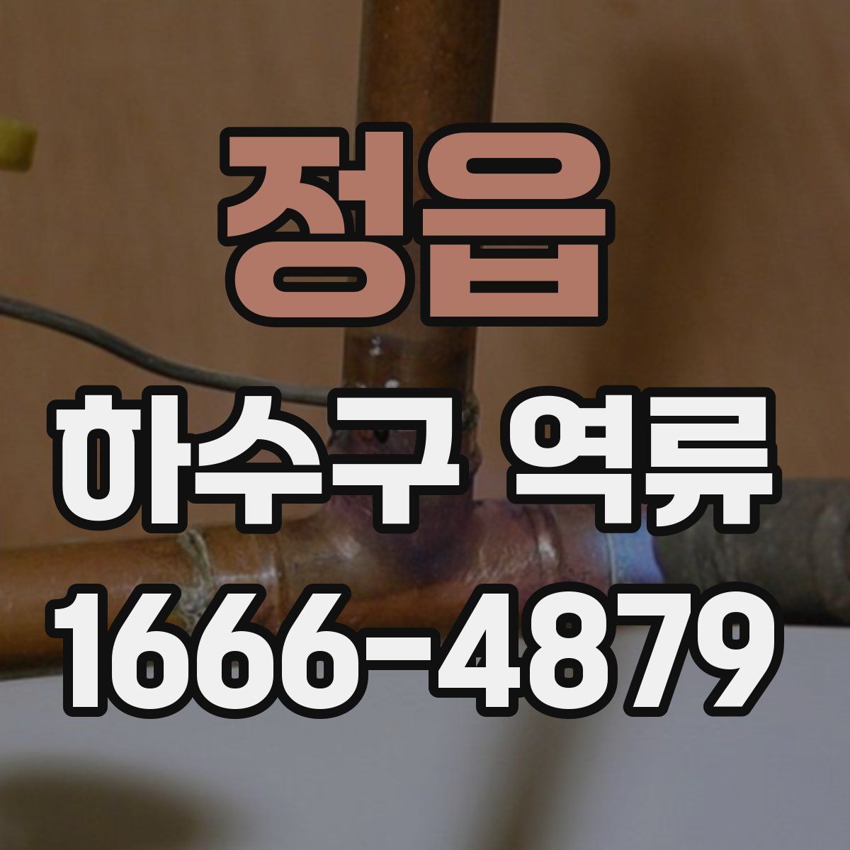 정읍 하수구 역류