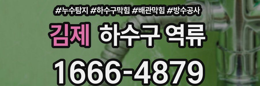 김제 하수구 역류