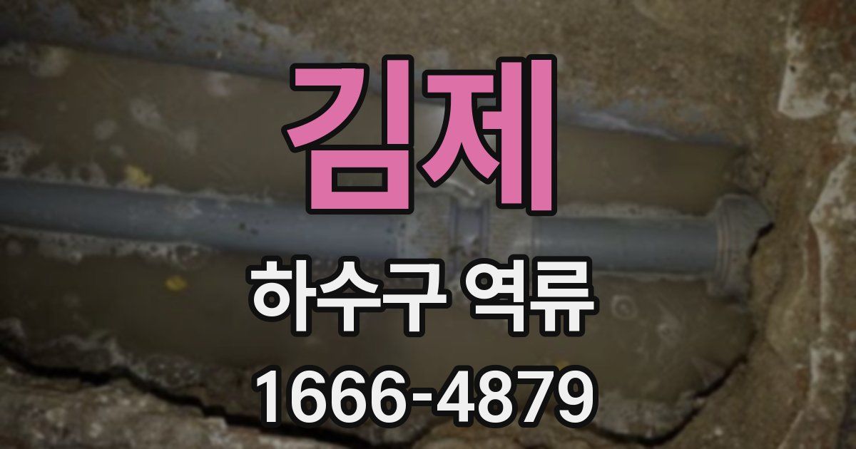 김제 하수구 역류