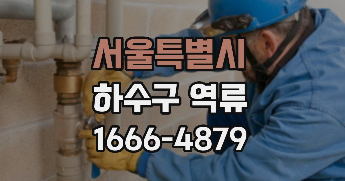 서울특별시 하수구 역류