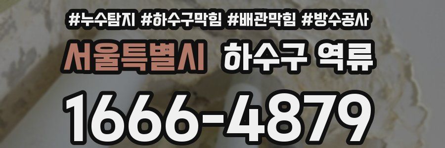 서울특별시 하수구 역류