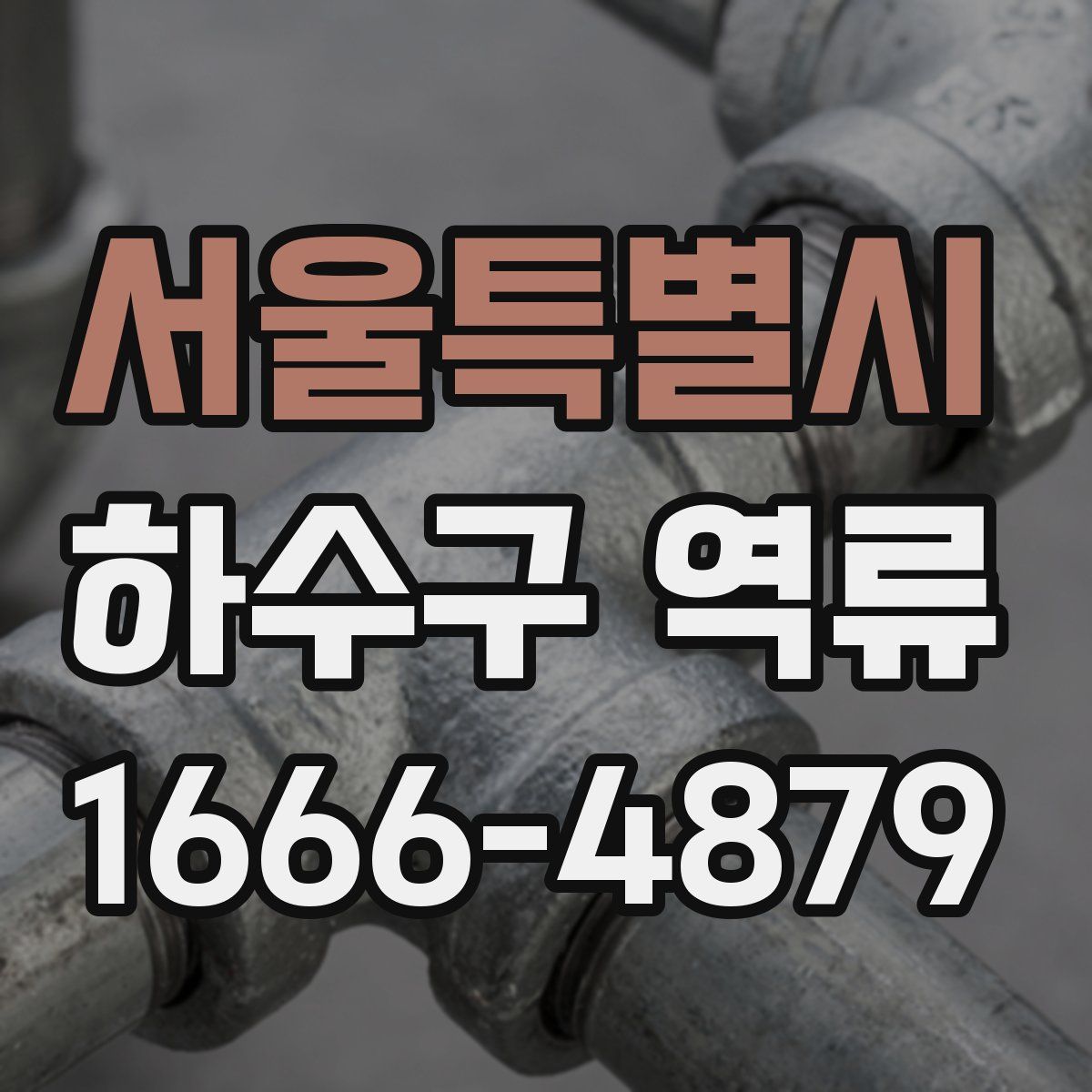 서울특별시 하수구 역류