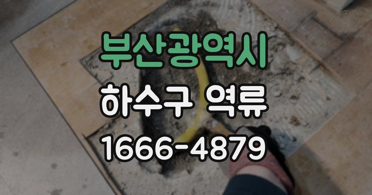 부산광역시 하수구 역류