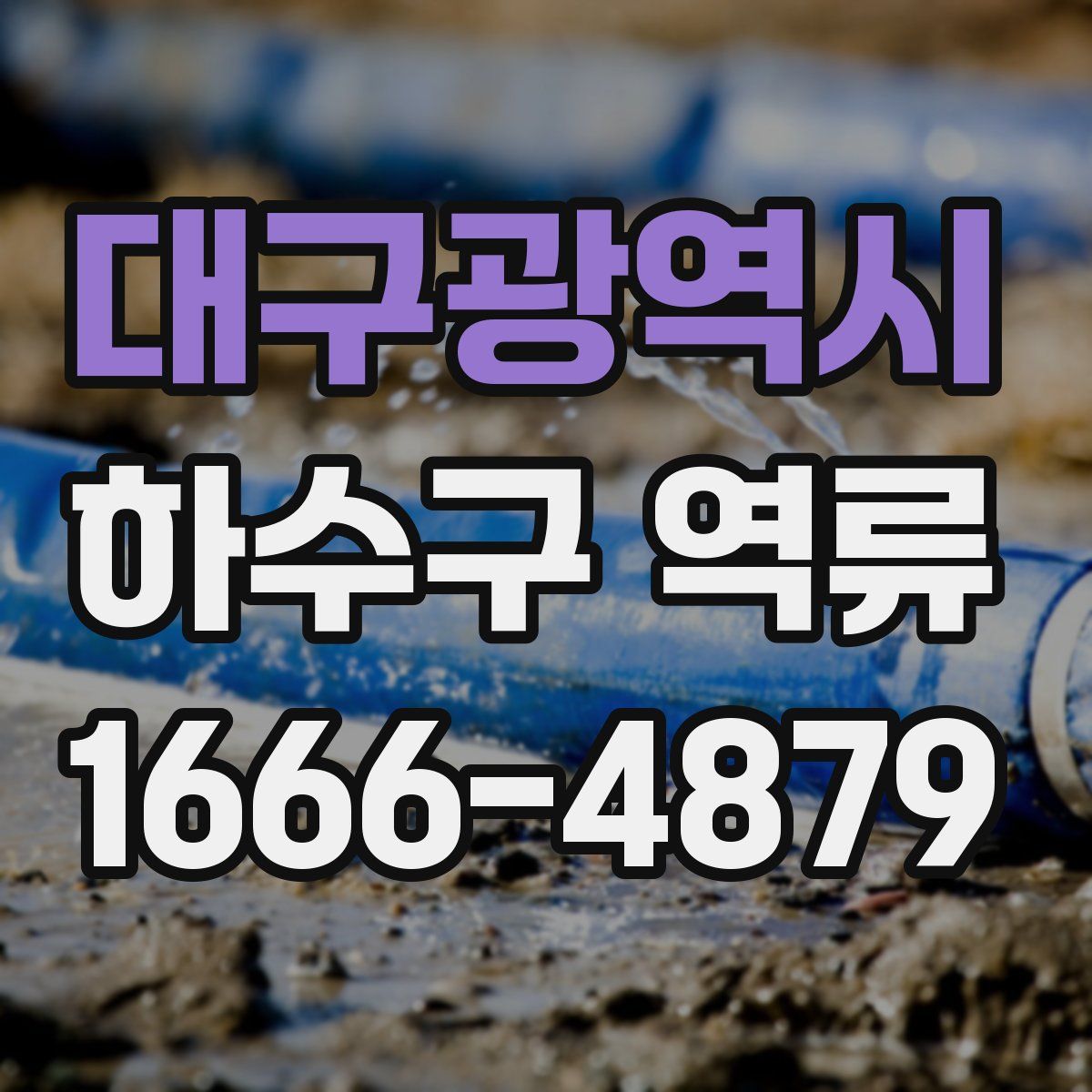 대구광역시 하수구 역류