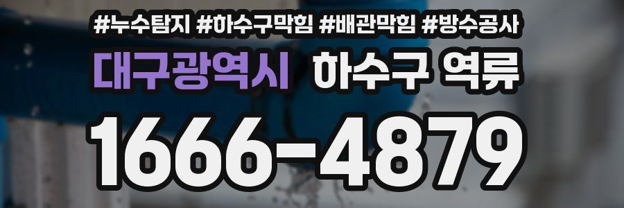 대구광역시 하수구 역류
