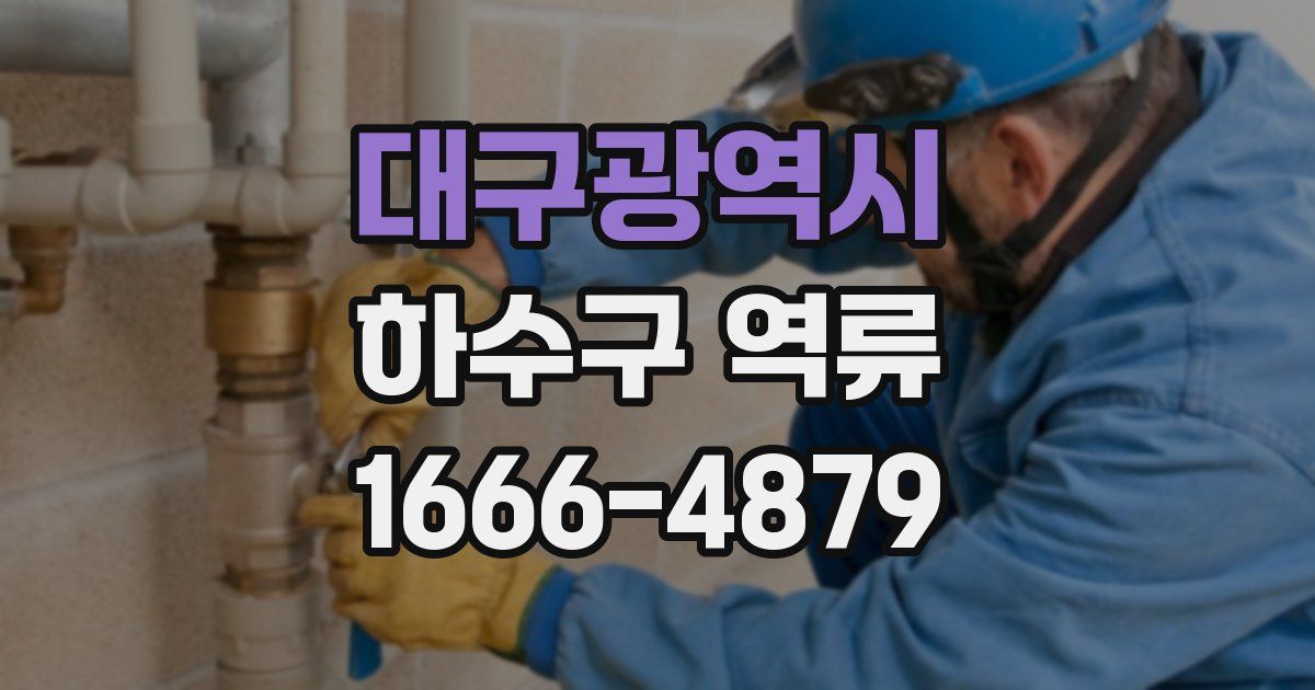 대구광역시 하수구 역류