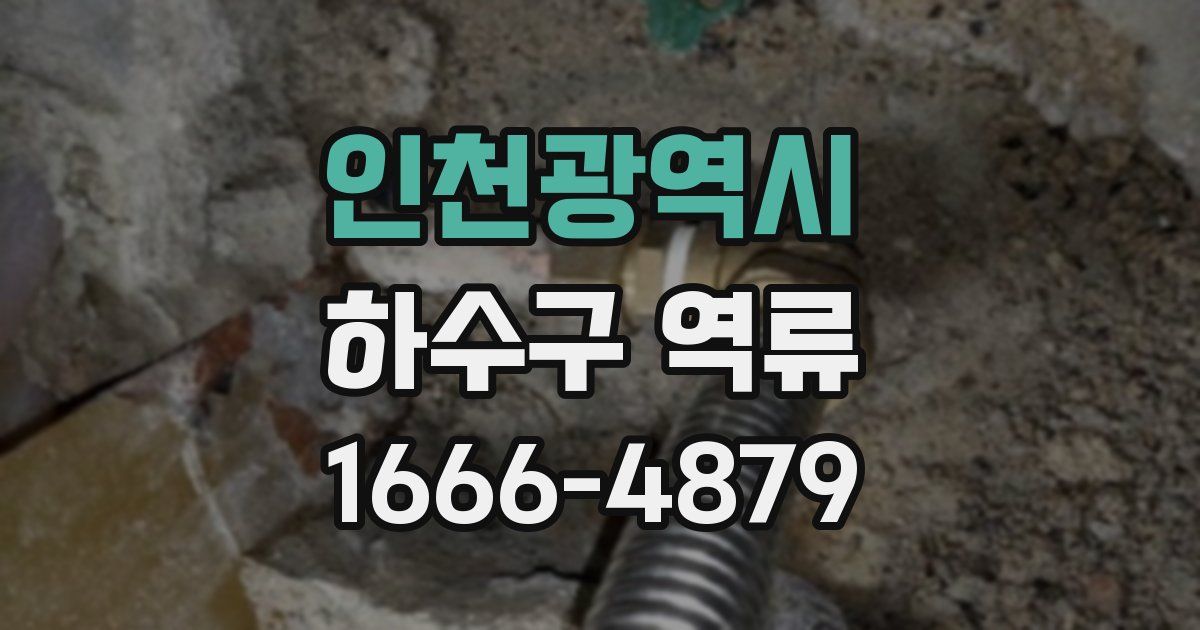 인천광역시 하수구 역류