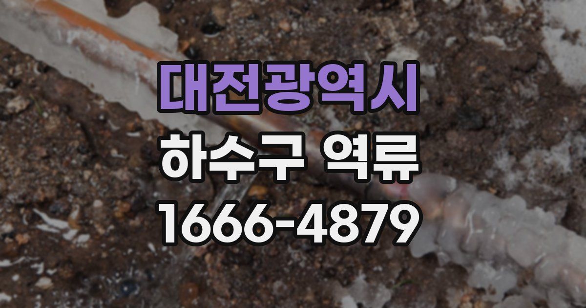 대전광역시 하수구 역류