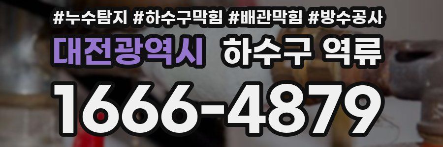 대전광역시 하수구 역류