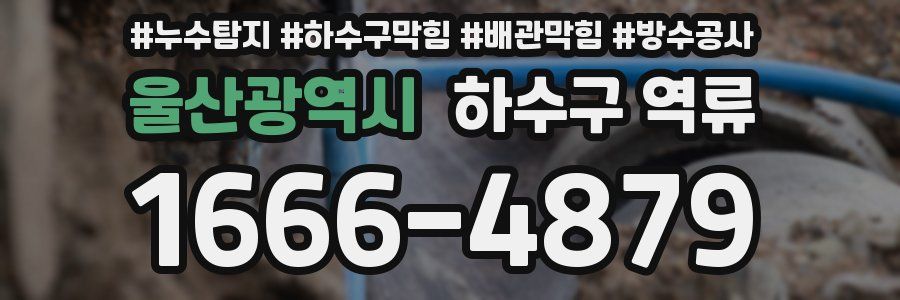 울산광역시 하수구 역류