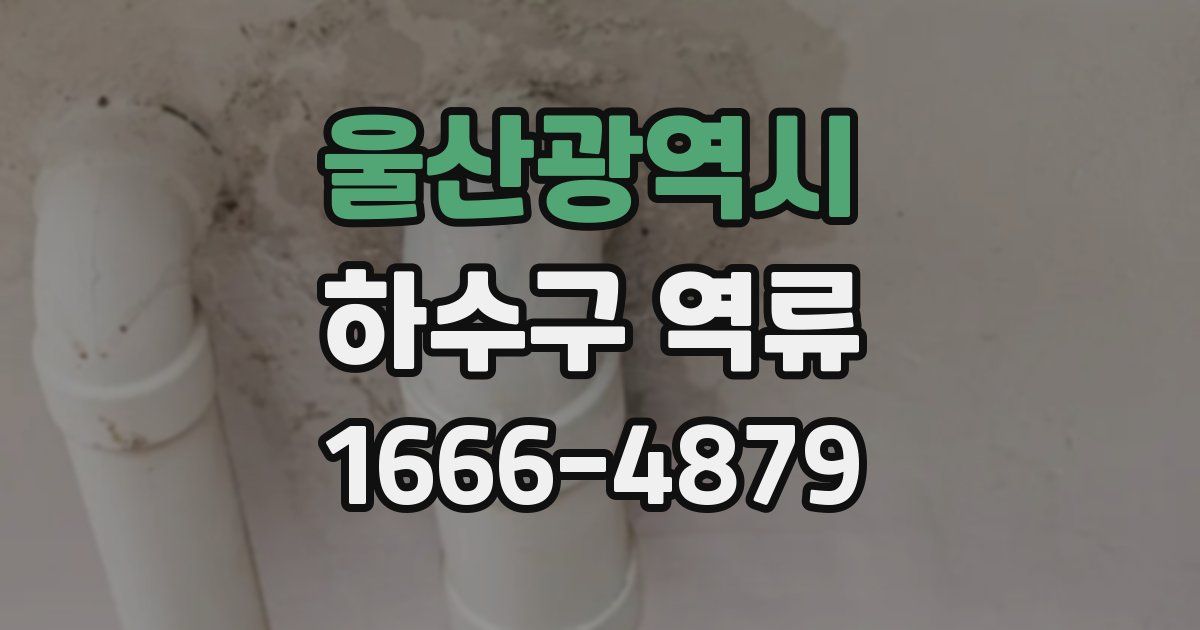 울산광역시 하수구 역류