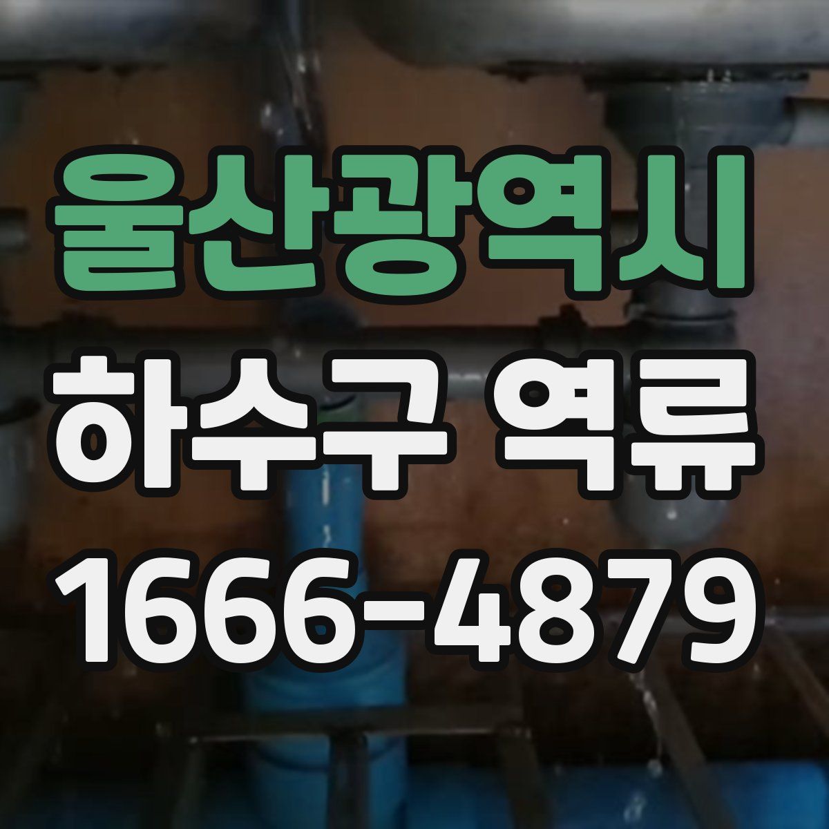 울산광역시 하수구 역류