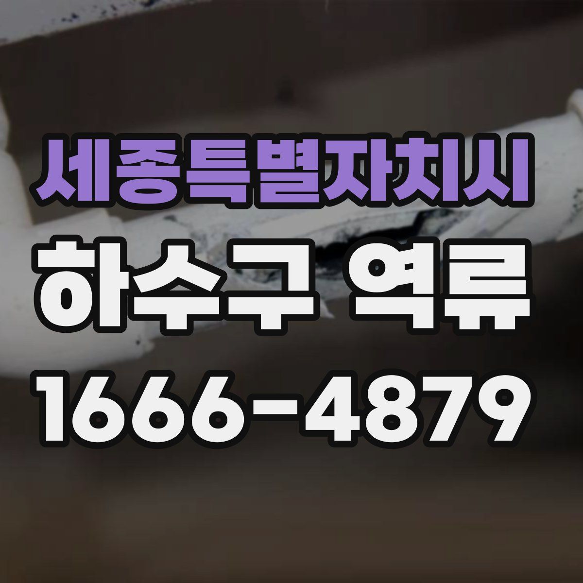세종특별자치시 하수구 역류