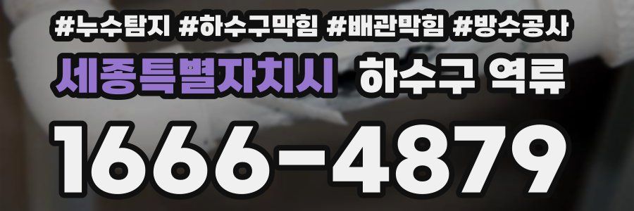 세종특별자치시 하수구 역류