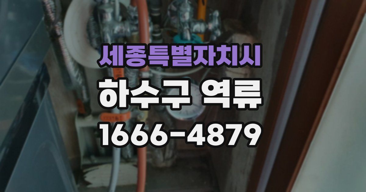 세종특별자치시 하수구 역류