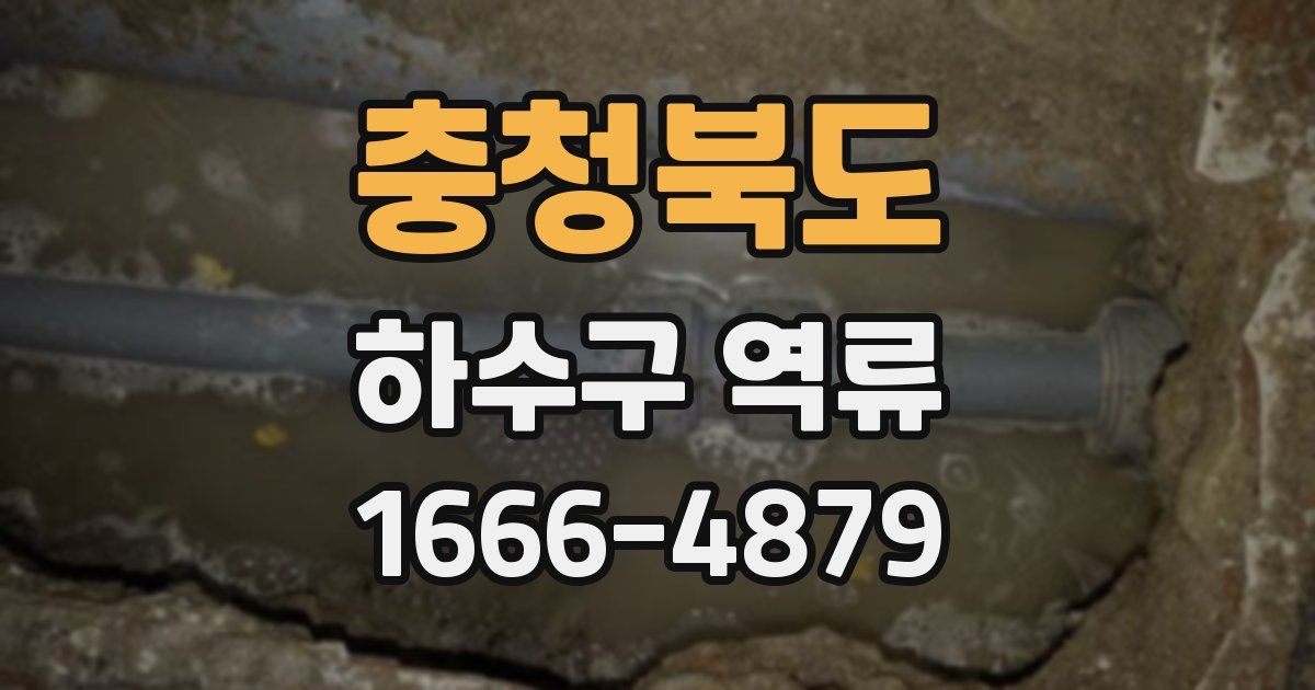 충청북도 하수구 역류