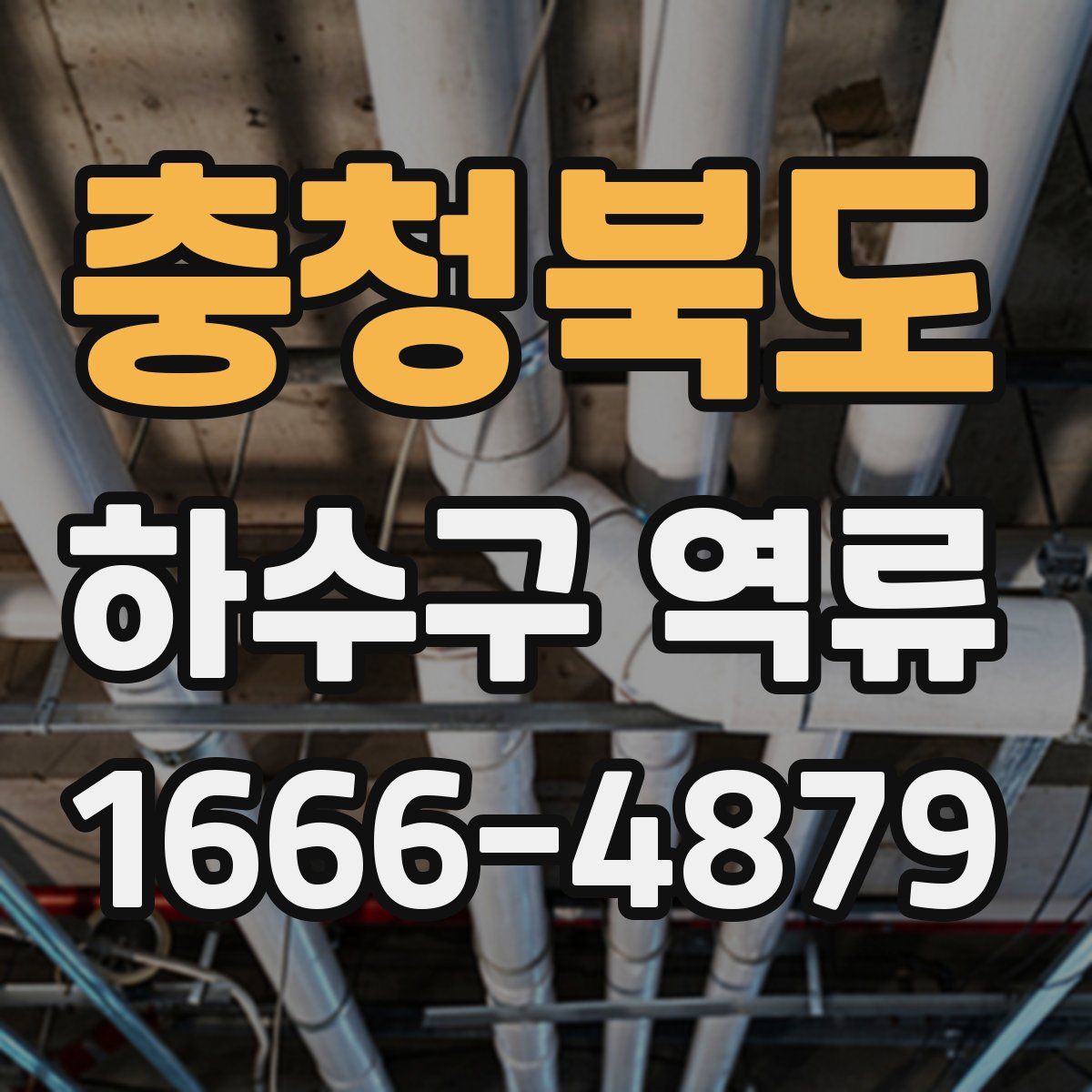 충청북도 하수구 역류