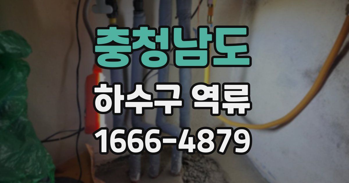 충청남도 하수구 역류