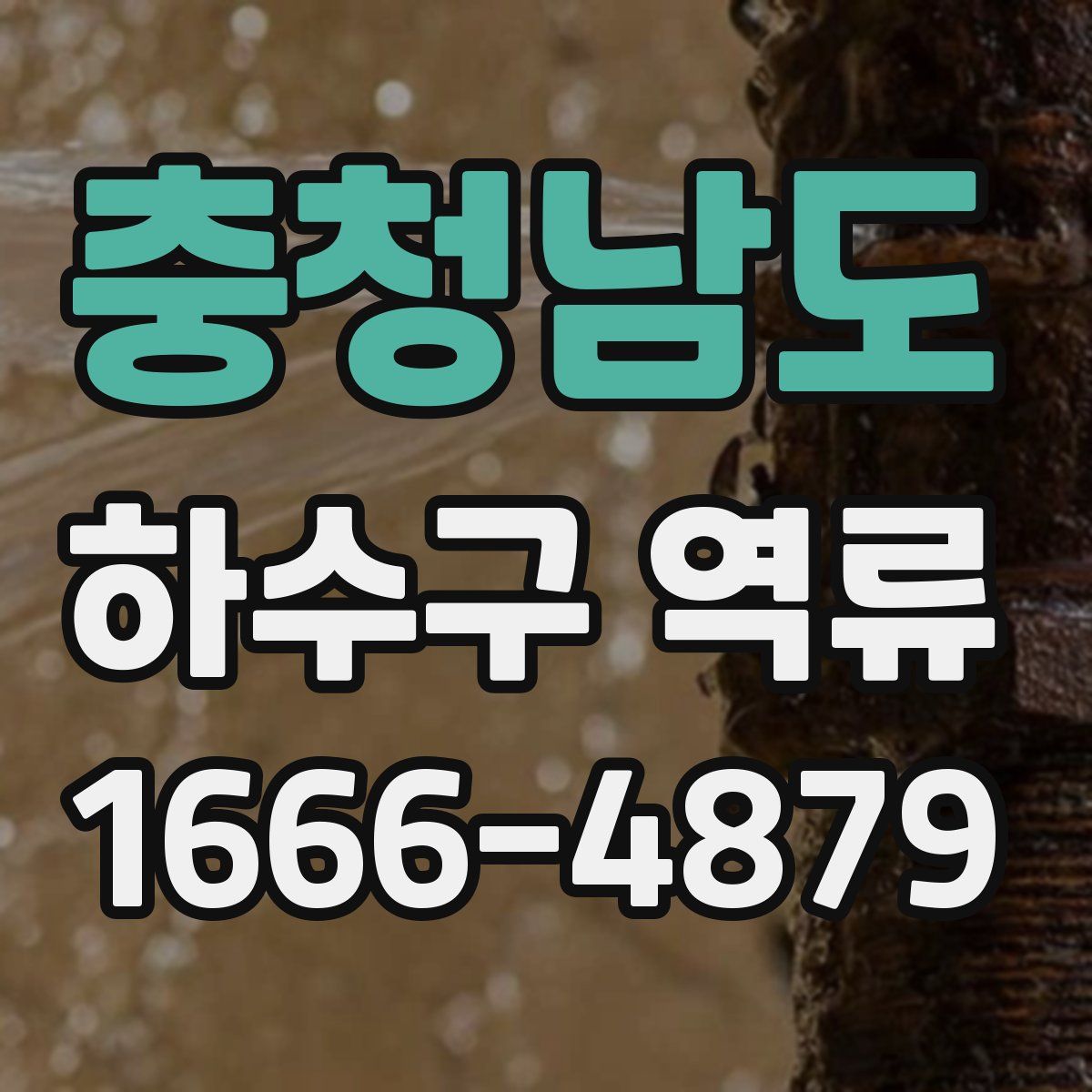 충청남도 하수구 역류