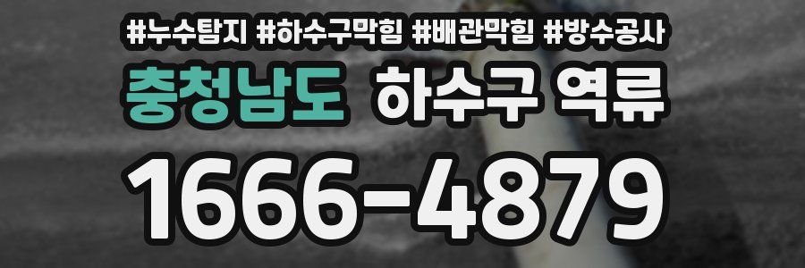 충청남도 하수구 역류