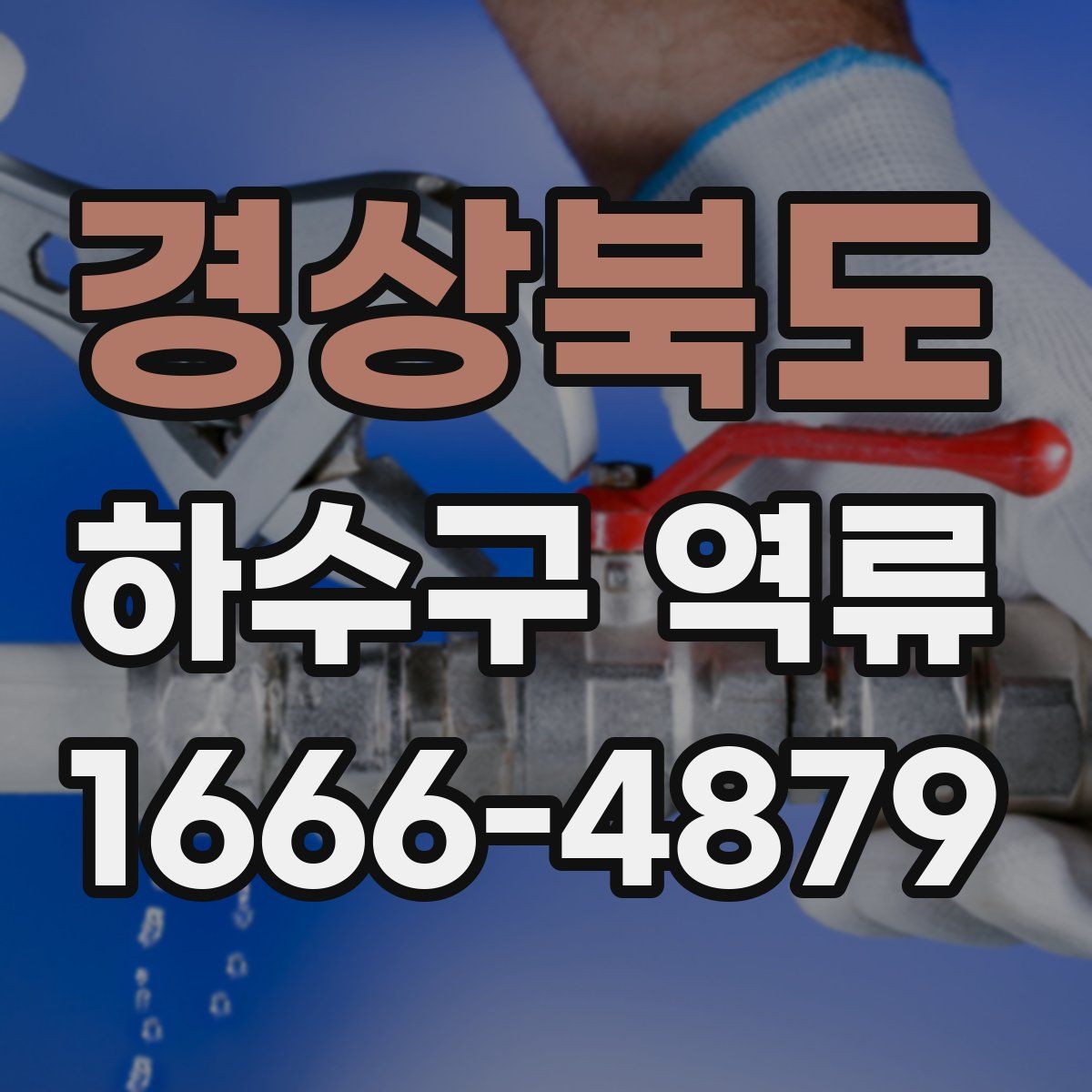 경상북도 하수구 역류
