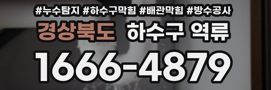 경상북도 하수구 역류