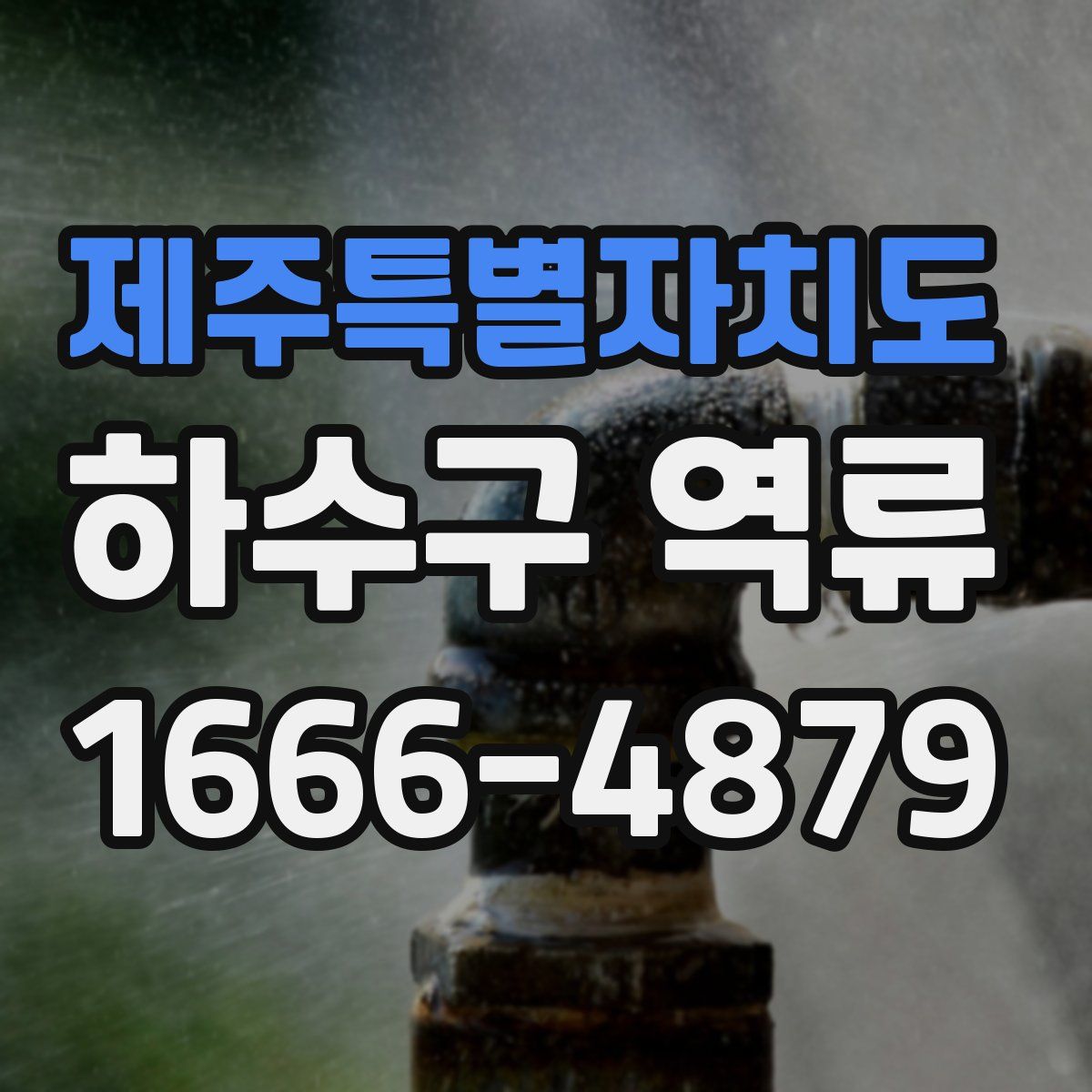 제주특별자치도 하수구 역류