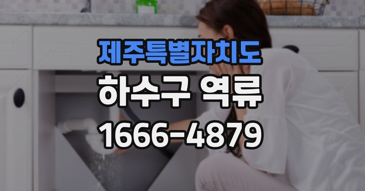 제주특별자치도 하수구 역류