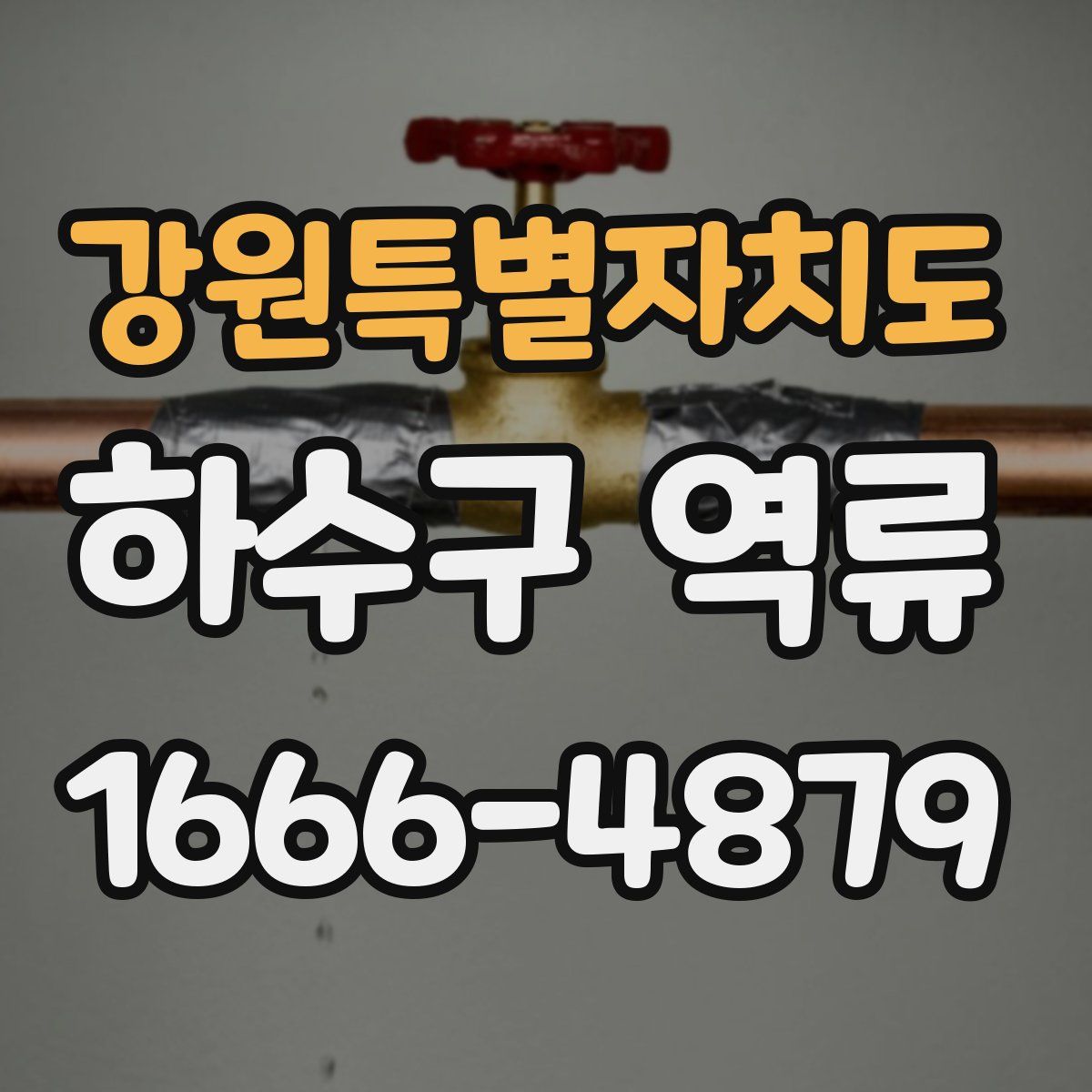 강원특별자치도 하수구 역류