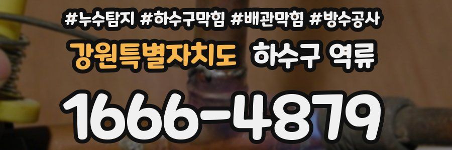 강원특별자치도 하수구 역류