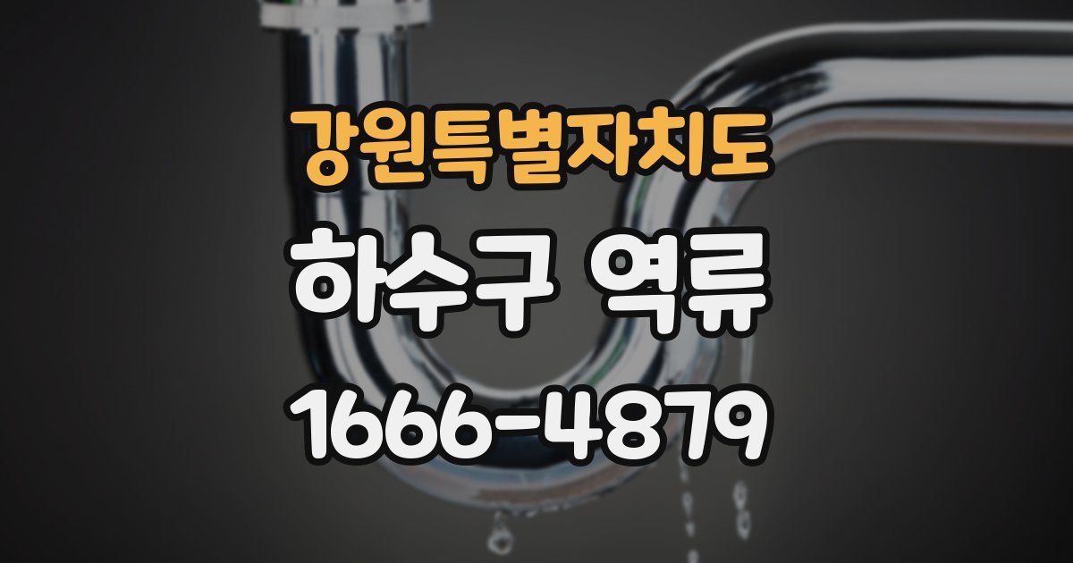 강원특별자치도 하수구 역류