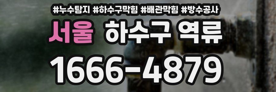 서울 하수구 역류