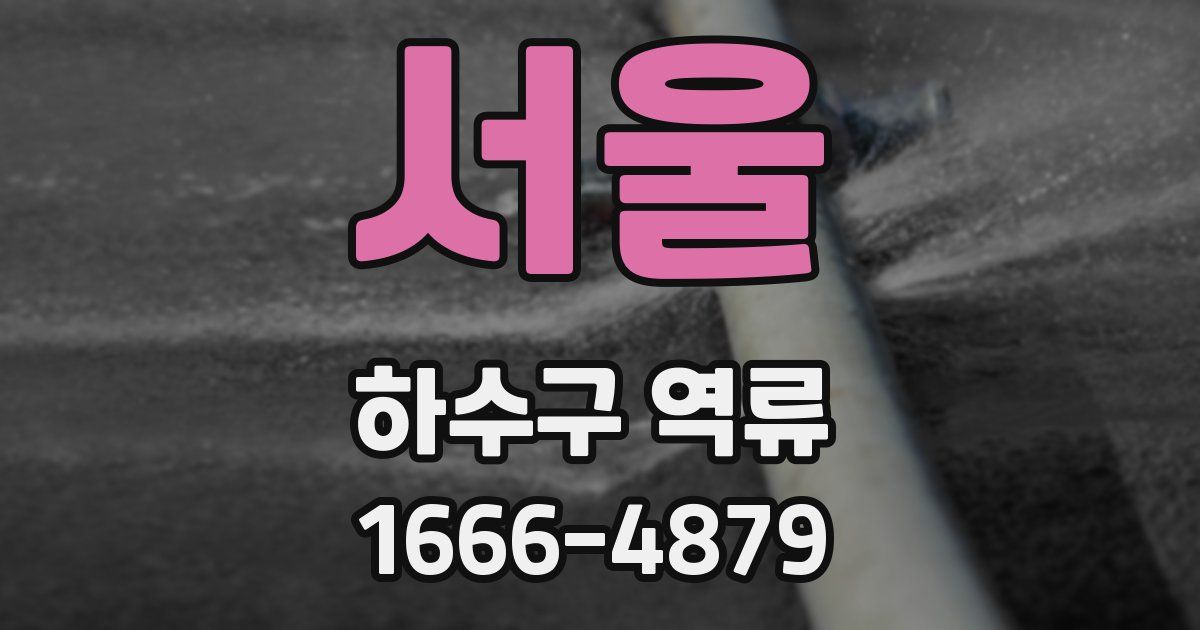 서울 하수구 역류