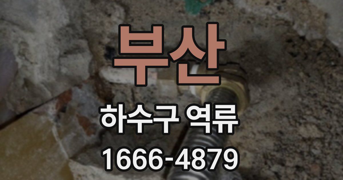 부산 하수구 역류