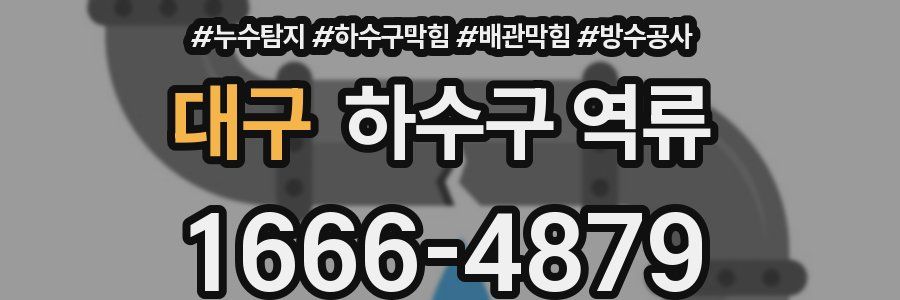 대구 하수구 역류