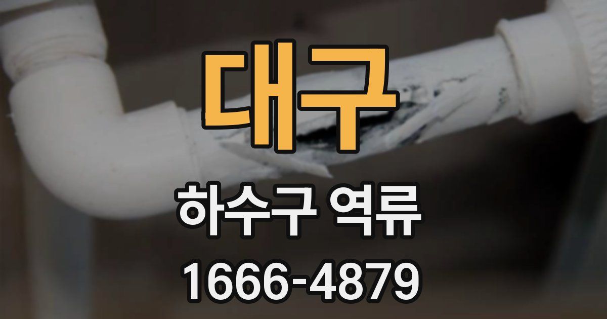 대구 하수구 역류