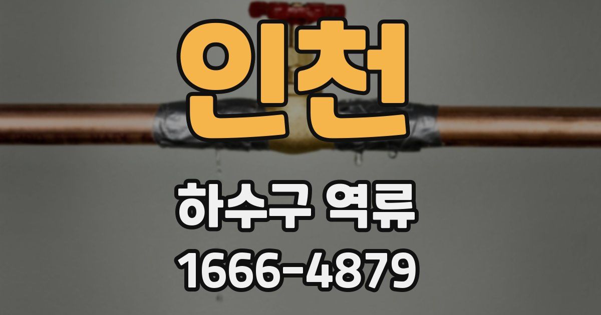 인천 하수구 역류