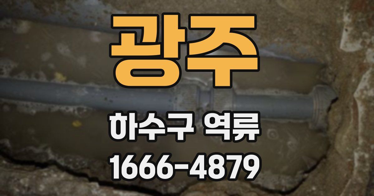 광주 하수구 역류