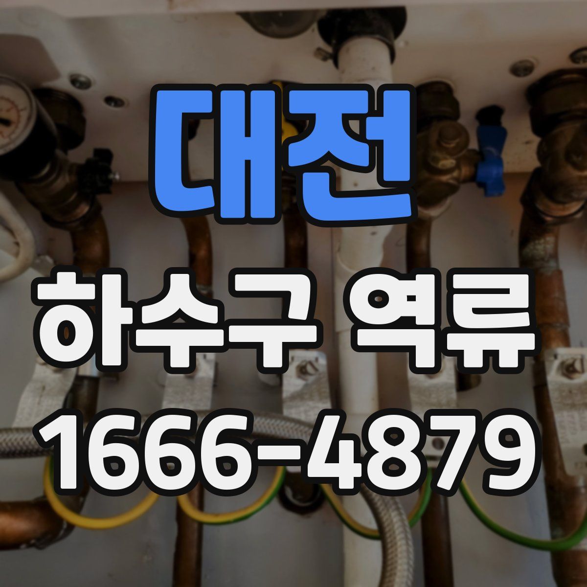 대전 하수구 역류