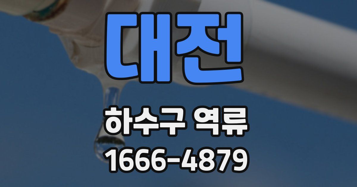 대전 하수구 역류