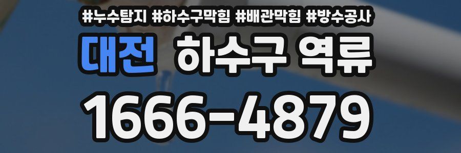 대전 하수구 역류