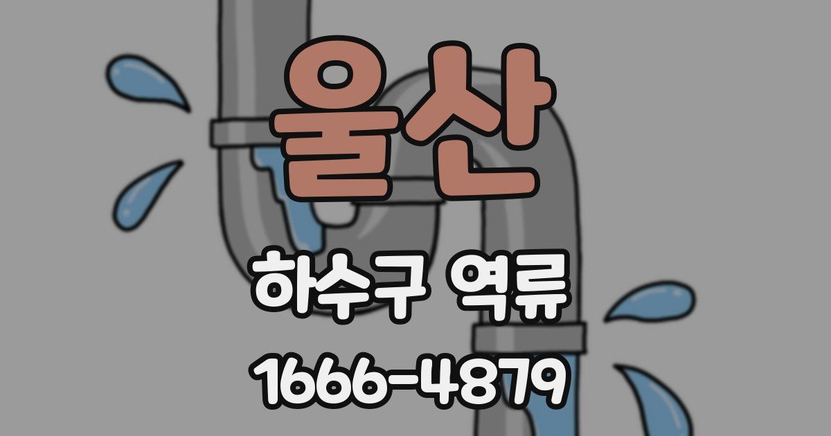 울산 하수구 역류