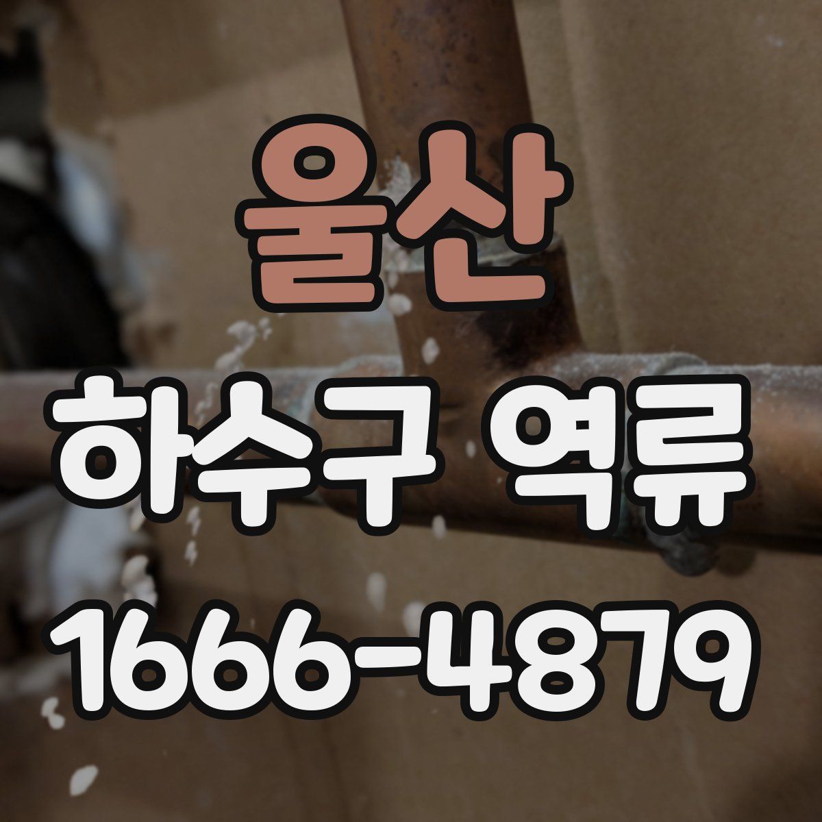 울산 하수구 역류