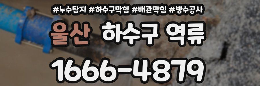 울산 하수구 역류