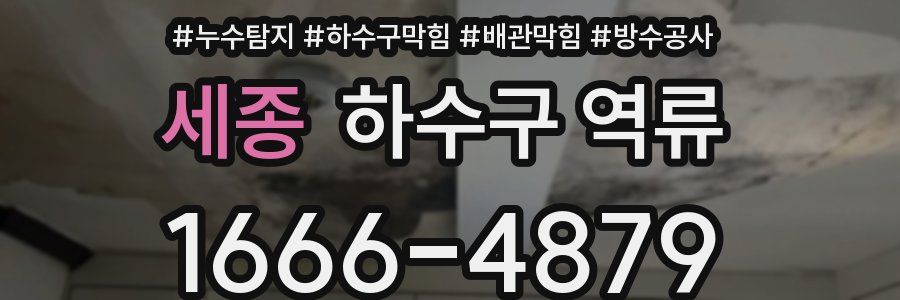 세종 하수구 역류