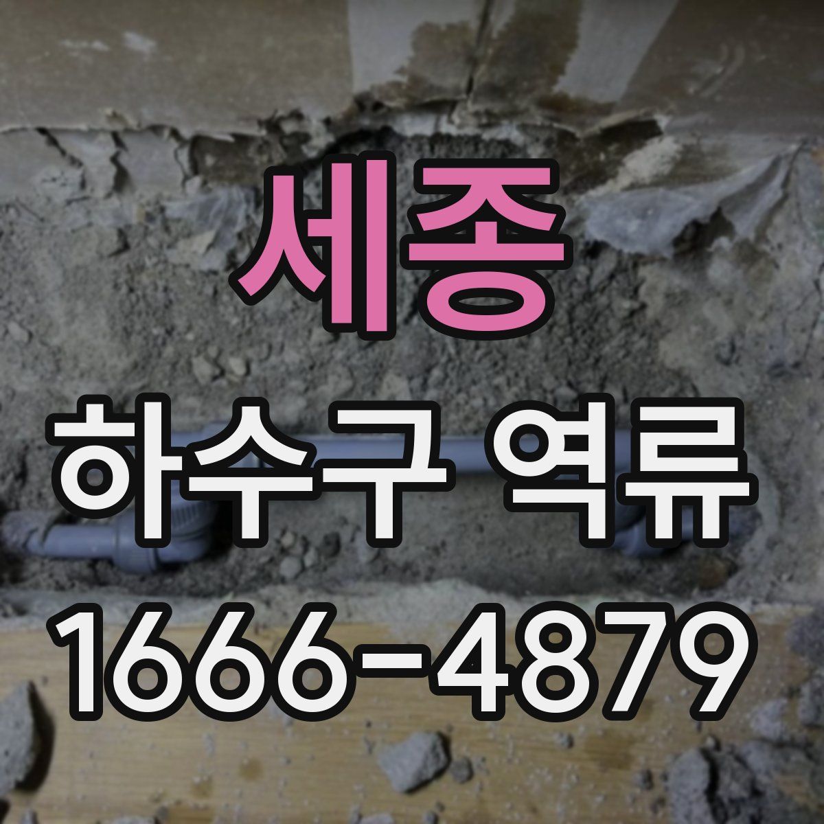 세종 하수구 역류