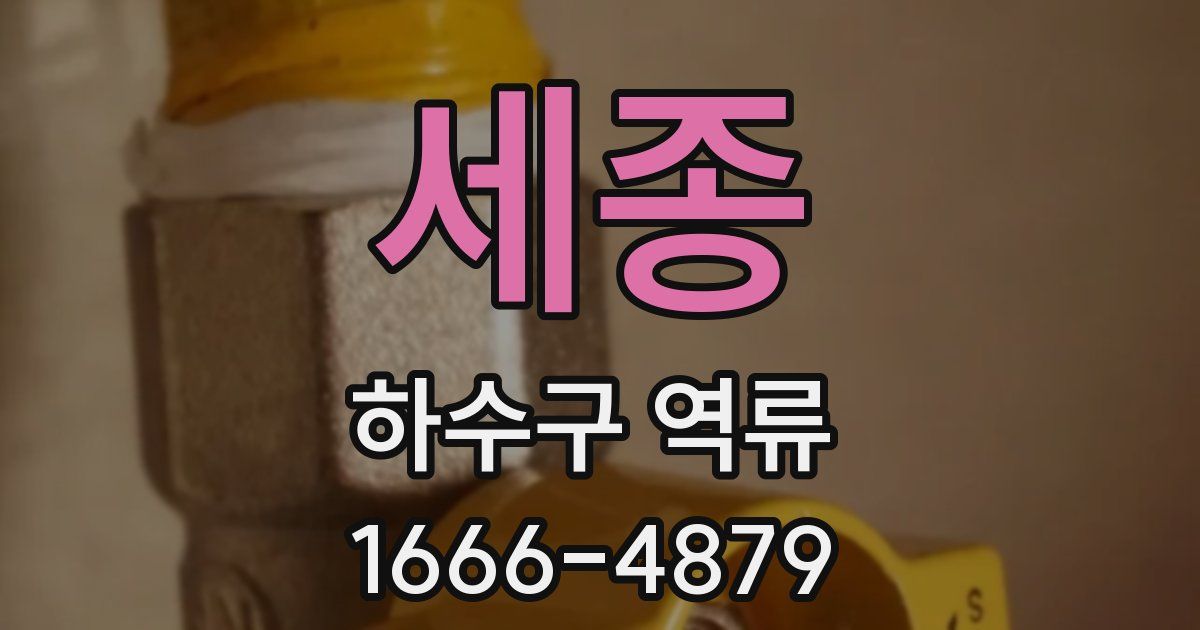 세종 하수구 역류